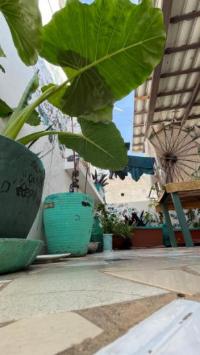 Tropicali ⁿᵉᵃʳ ⁿᵍᵒʳ ᵇᵉᵃᶜʰ ᵃⁿᵈ ⁱˢˡᵃⁿᵈ